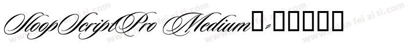 SloopScriptPro Medium◆字体转换